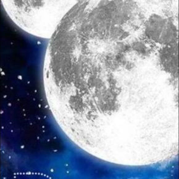 Meet your Posher, Mackenzi - Picture 1 of 1